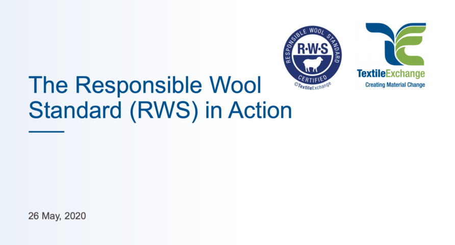 RWS in Action Webinar Cover