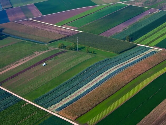 farm fields.