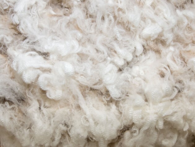 wool fiber.