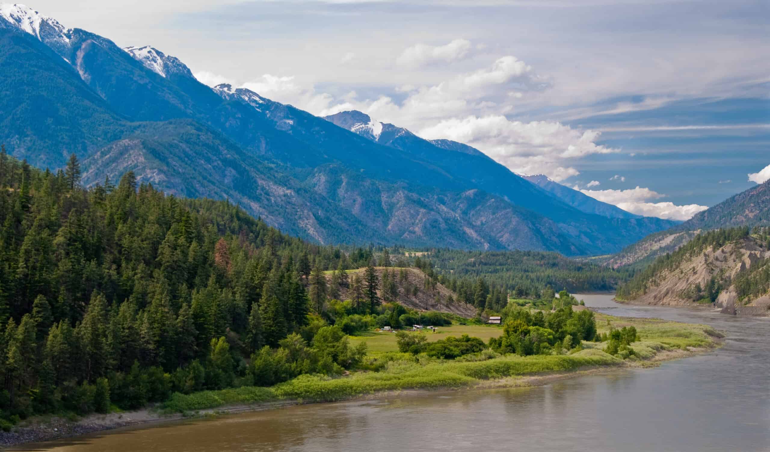 Building Reciprocal Relationships with Ancient Forests, from the