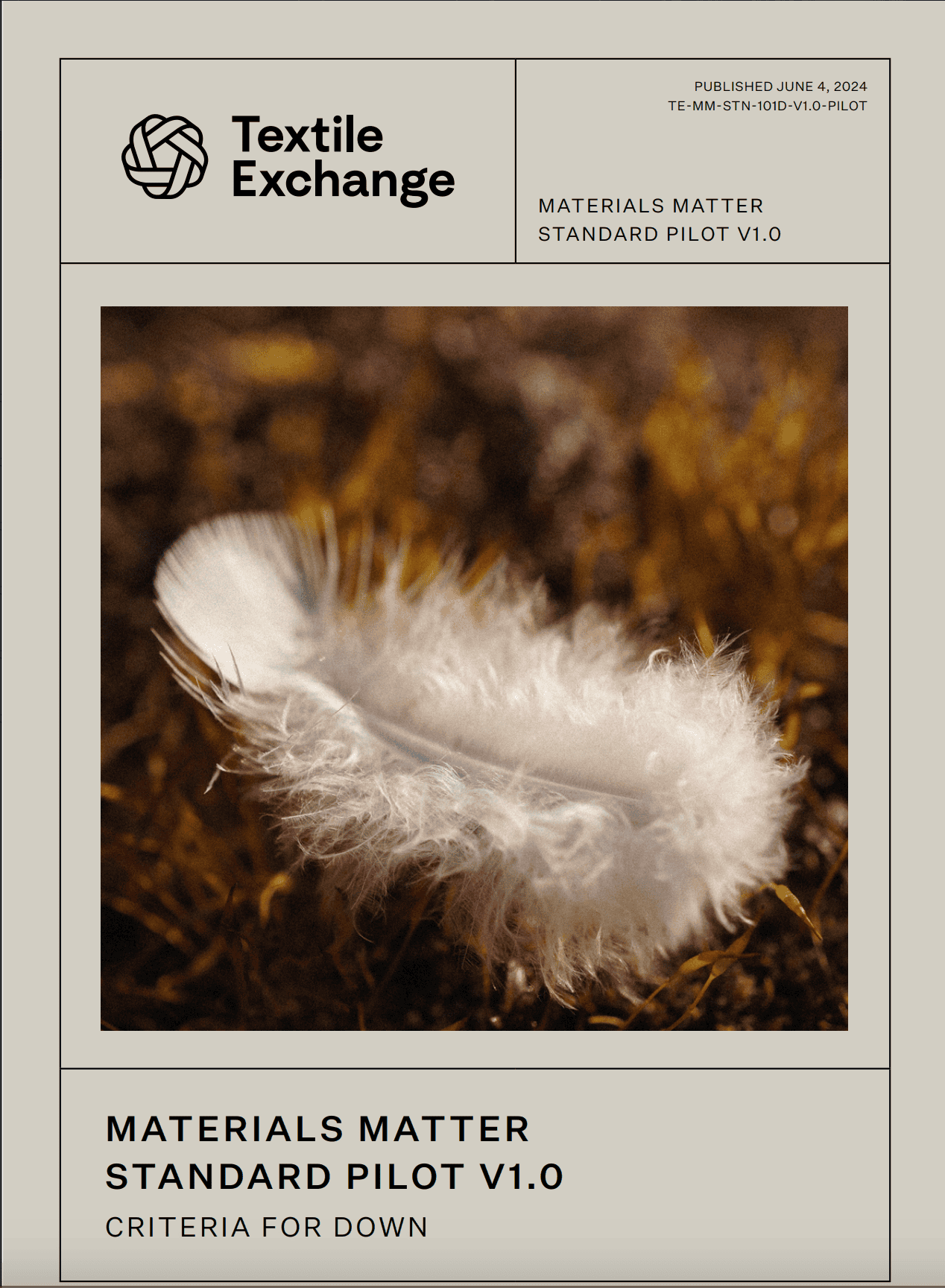 TEMMSTN101D Materials Matter Standard Pilot Version Criteria for