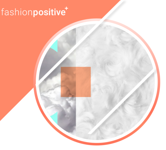 Fashion Positive Webinar