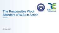 RWS in Action Webinar Cover