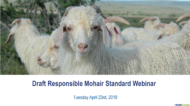 Responsible Mohair Standard Webinar Cover