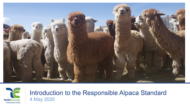 responsible-alpaca-standard