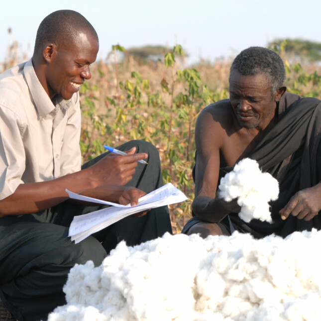 Cotton - Textile Exchange