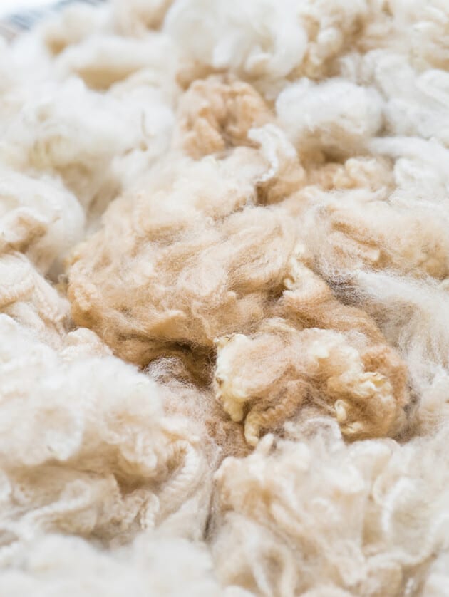 Alpaca wool.