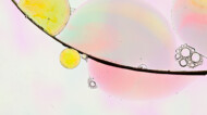 colorful bubbles seen on a microscope slide.