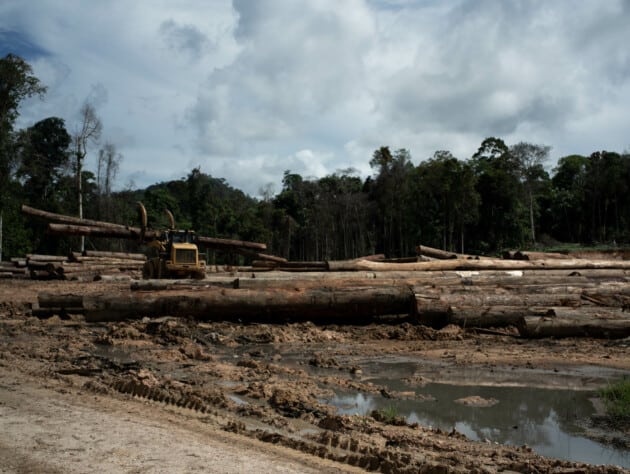 heavy machinery logging outside of a forest.