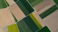 An aerial view of fields at a farm.