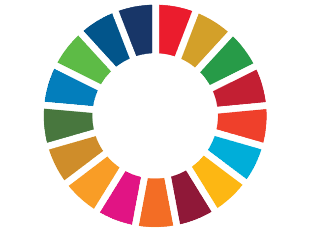 SDG wheel.