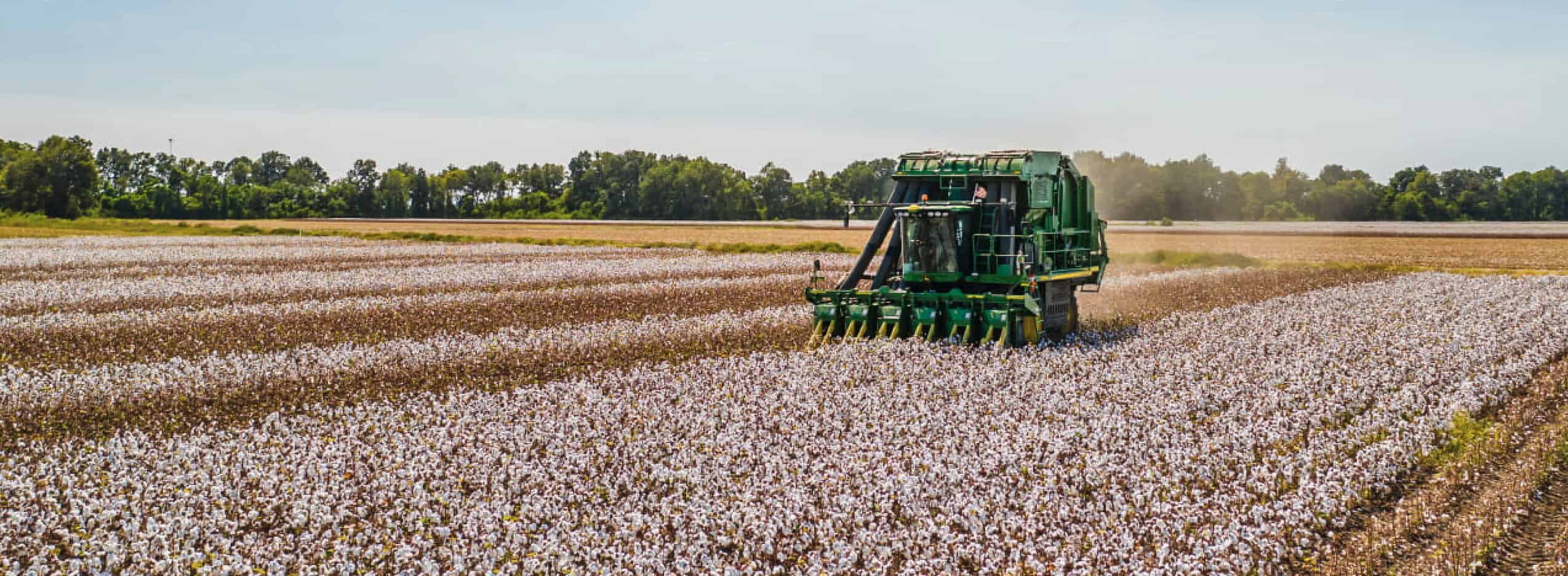 2025 Sustainable Cotton Challenge - Textile Exchange