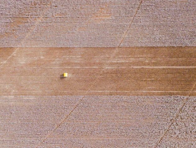 overhead view of a cotton field.