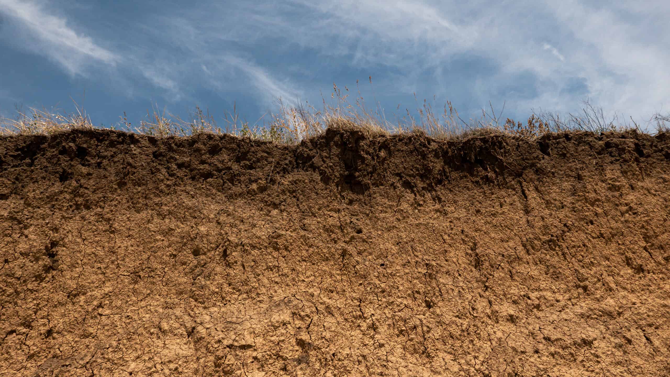 regenerative-agriculture-outcome-framework-textile-exchange
