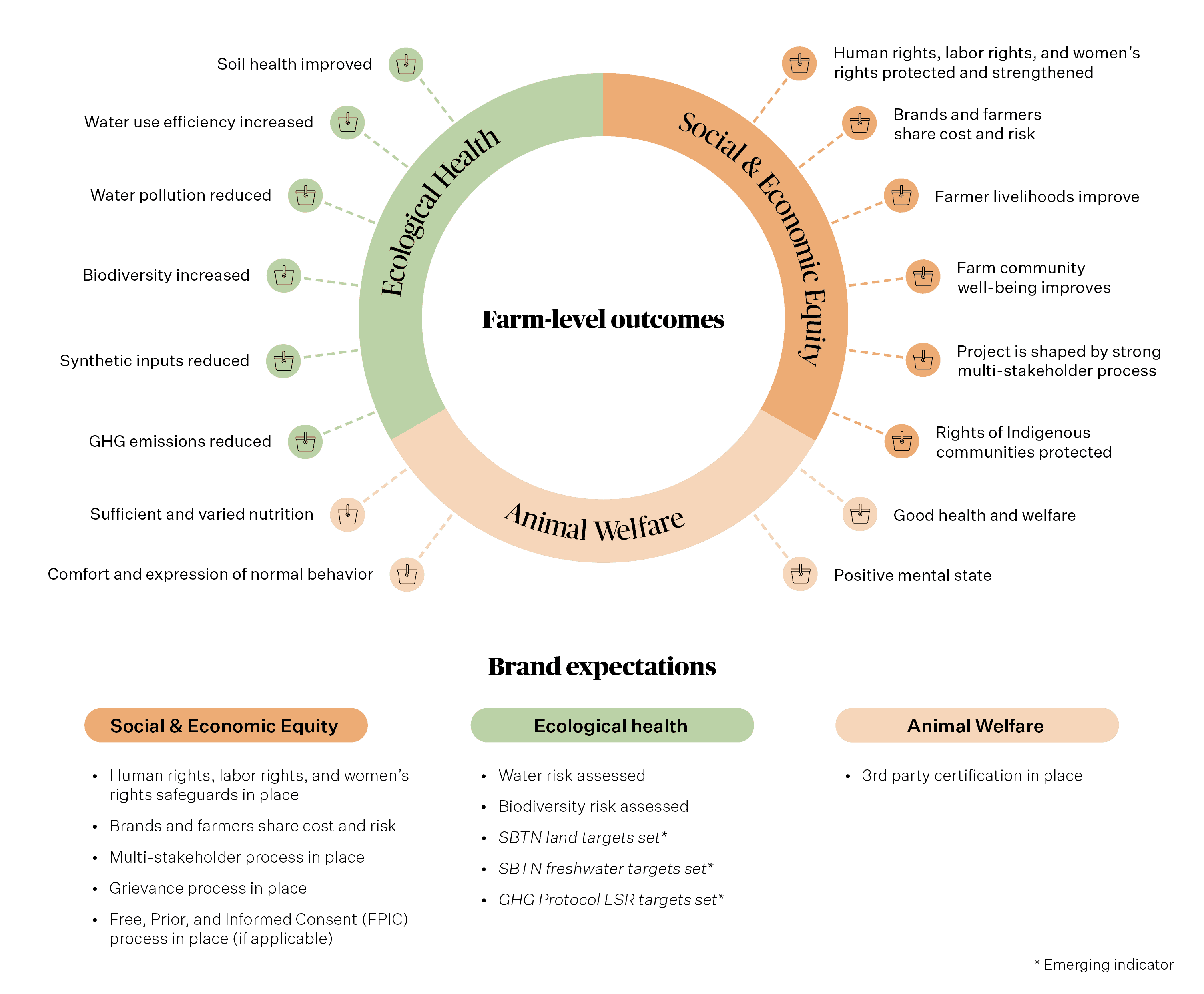 Brands That Use Traceable Cotton And Support Regenerative Cotton