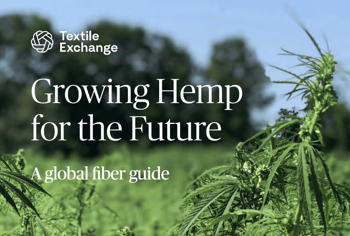 Growing Hemp for the Future: A Global Fiber Guide - Textile Exchange